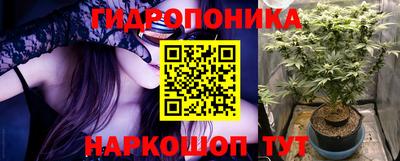 прущие грибы Ангарск