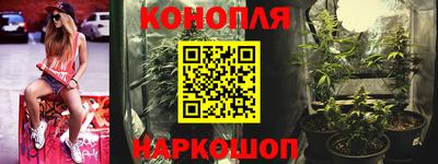 прущие грибы Ангарск
