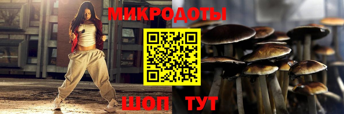 Псилоцибиновые грибы мухоморы Гудермес